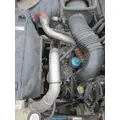 INTERNATIONAL VT365 Engine Assembly thumbnail 8
