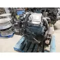 INTERNATIONAL VT365 Engine Assembly thumbnail 5