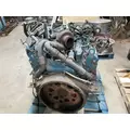 INTERNATIONAL VT365 Engine Assembly thumbnail 6