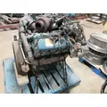 INTERNATIONAL VT365 Engine Assembly thumbnail 7