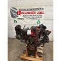 INTERNATIONAL VT365 Engine Assembly thumbnail 1