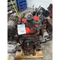 INTERNATIONAL VT365 Engine Assembly thumbnail 3