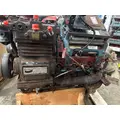 INTERNATIONAL VT365 Engine Assembly thumbnail 4