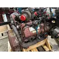 INTERNATIONAL VT365 Engine Assembly thumbnail 6