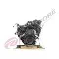 INTERNATIONAL VT365 Engine Assembly thumbnail 9