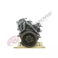 INTERNATIONAL VT365 Engine Assembly thumbnail 5