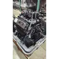 INTERNATIONAL VT365 Engine Assembly thumbnail 4