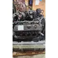 INTERNATIONAL VT365 Engine Assembly thumbnail 5
