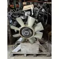 INTERNATIONAL VT365 Engine Assembly thumbnail 2