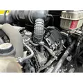 INTERNATIONAL VT365 Engine Assembly thumbnail 1