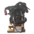 INTERNATIONAL VT365 Engine Assembly thumbnail 3