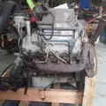 INTERNATIONAL VT365 Engine Assembly thumbnail 13