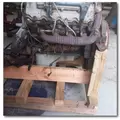 INTERNATIONAL VT365 Engine Assembly thumbnail 14