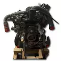 INTERNATIONAL VT365 Engine Assembly thumbnail 4