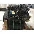 INTERNATIONAL VT365 Engine Assembly thumbnail 7