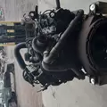 INTERNATIONAL VT365 Engine Assembly thumbnail 12