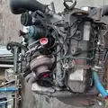 INTERNATIONAL VT365 Engine Assembly thumbnail 15