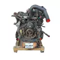 INTERNATIONAL VT365 Engine Assembly thumbnail 20