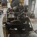 INTERNATIONAL VT365 Engine Assembly thumbnail 3