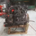 INTERNATIONAL VT365 Engine Assembly thumbnail 12