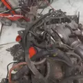 INTERNATIONAL VT365 Engine Assembly thumbnail 13