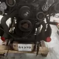 INTERNATIONAL VT365 Engine Assembly thumbnail 14