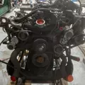 INTERNATIONAL VT365 Engine Assembly thumbnail 15