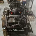 INTERNATIONAL VT365 Engine Assembly thumbnail 4