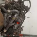 INTERNATIONAL VT365 Engine Assembly thumbnail 9