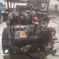 INTERNATIONAL VT365 Engine Assembly thumbnail 4