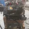 INTERNATIONAL VT365 Engine Assembly thumbnail 5