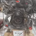 INTERNATIONAL VT365 Engine Assembly thumbnail 8