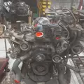 INTERNATIONAL VT365 Engine Assembly thumbnail 9