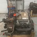 INTERNATIONAL VT365 Engine Assembly thumbnail 11