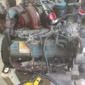 INTERNATIONAL VT365 Engine Assembly thumbnail 13