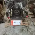 INTERNATIONAL VT365 Engine Assembly thumbnail 4