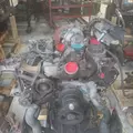 INTERNATIONAL VT365 Engine Assembly thumbnail 5