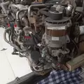 INTERNATIONAL VT365 Engine Assembly thumbnail 5