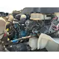 INTERNATIONAL VT365 Engine Assembly thumbnail 2
