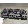 INTERNATIONAL VT365 Engine Cylinder Head thumbnail 1