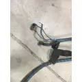 INTERNATIONAL VT365 Engine Wiring Harness thumbnail 5