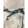 INTERNATIONAL VT365 Engine Wiring Harness thumbnail 6