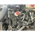 INTERNATIONAL VT365 Oil Pan thumbnail 1