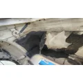 INTERNATIONAL WorkStar 7400 Hood thumbnail 9