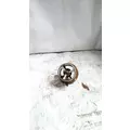 INTERNATIONAL  Belt Tensioner thumbnail 1