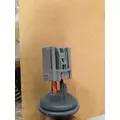 INTERNATIONAL  Blower Motor (HVAC) thumbnail 10