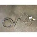 INTERNATIONAL  Body Wiring Harness thumbnail 1