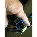 INTERNATIONAL  Body Wiring Harness thumbnail 4