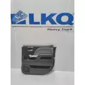 INTERNATIONAL  Door Panel (Trim) thumbnail 1