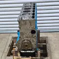 INTERNATIONAL  Engine Assembly thumbnail 6